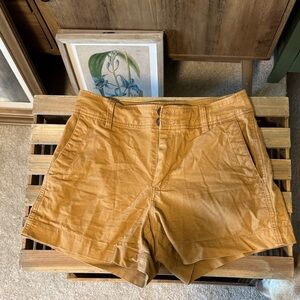 a new day Women's Cargo Shorts in Brown